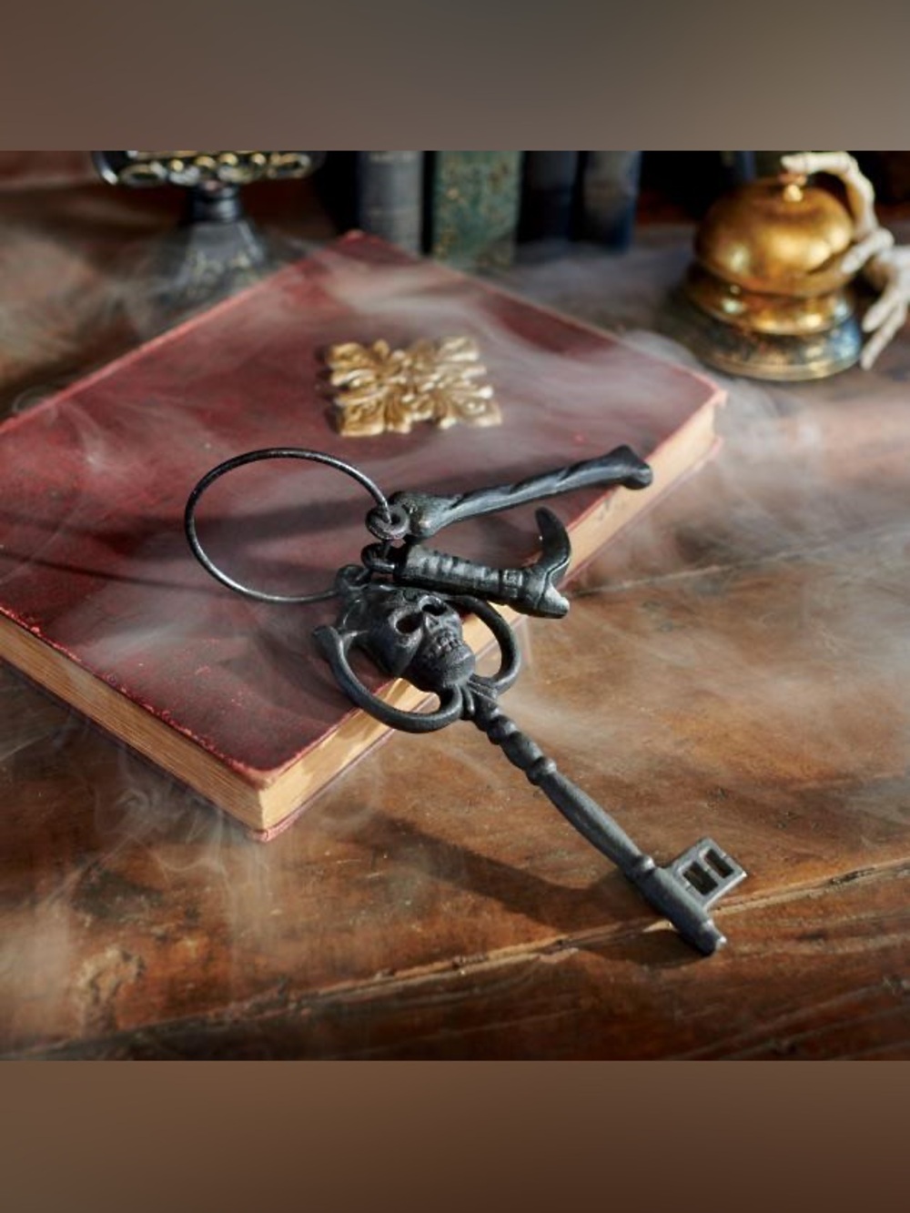 Iron Skeleton Keys - Halloween Party Supplies